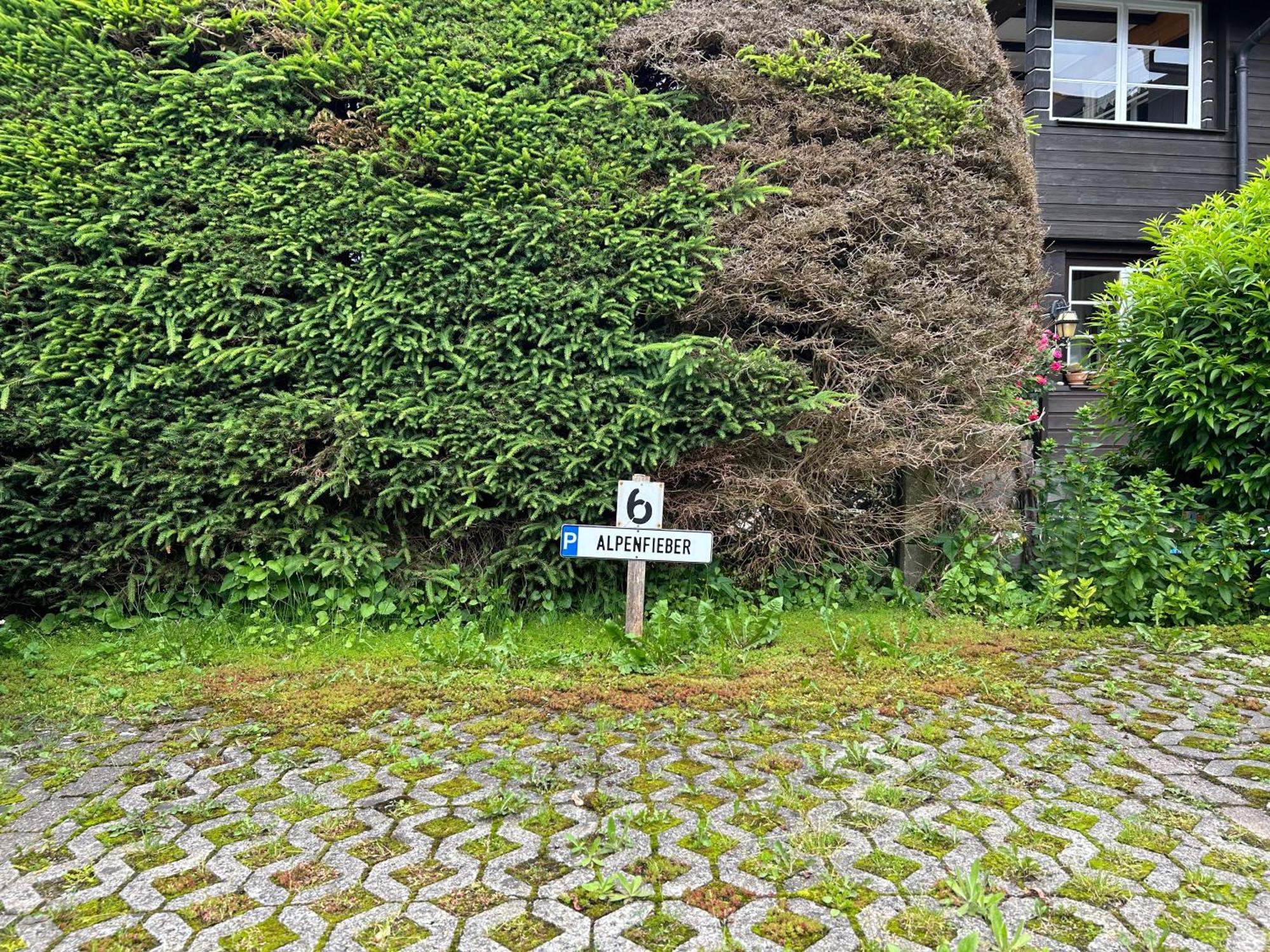 Alpenfieber * Oberstdorf
